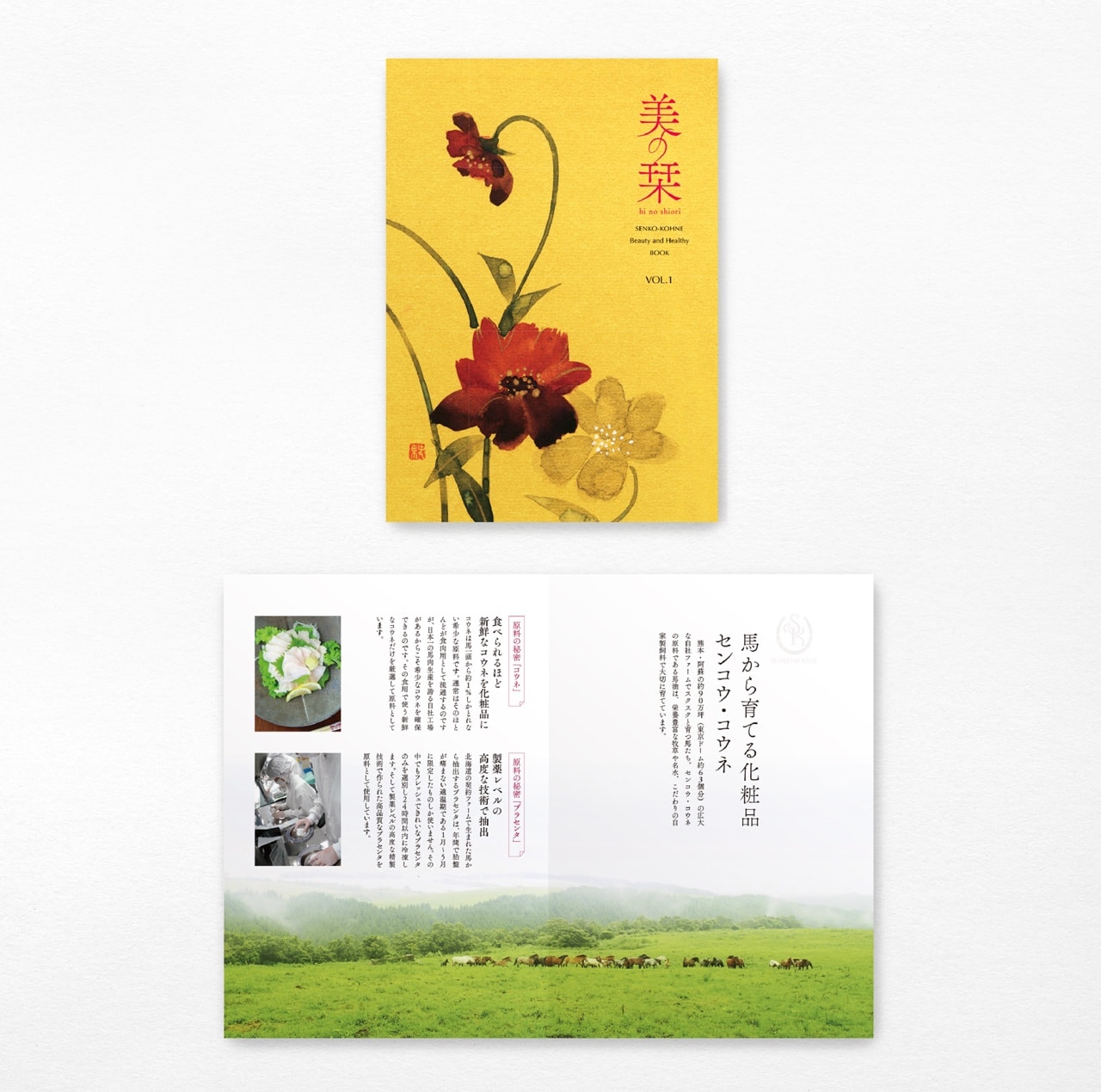 センコウコウネ 会報誌